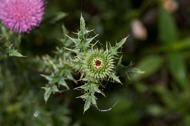 Similar image 21555229