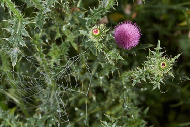 Similar image 21557265