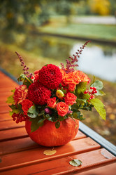 Similar image 21555884