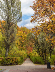 Similar image 21556286