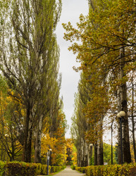 Similar image 21556287