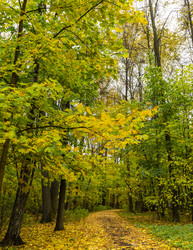 Similar image 21556288