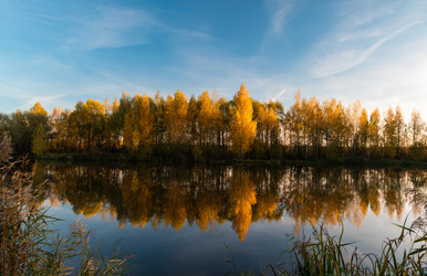 Similar image 21556289