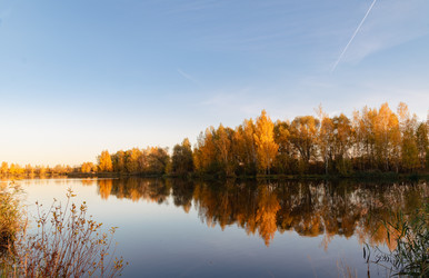 Similar image 21556290