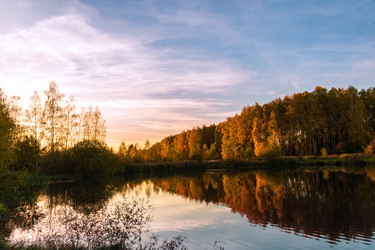 Similar image 21556292