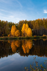 Similar image 21556293