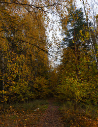 Similar image 21556295