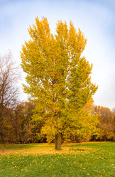 Similar image 21556297