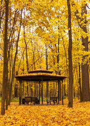 Similar image 21556298