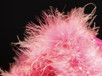 Similar image 21629110