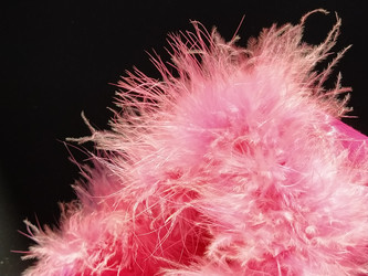 Similar image 21629111