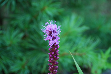 Similar image 21556661