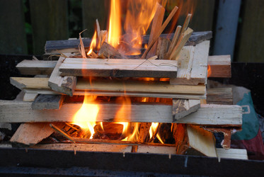 Similar image 21556666