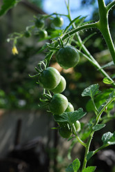 Similar image 21556667