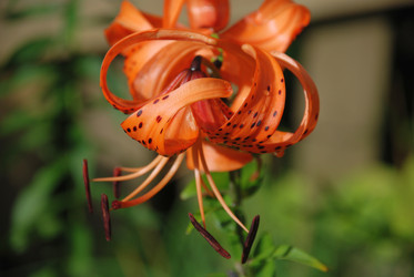 Similar image 21556671