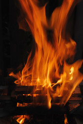 Similar image 21556672