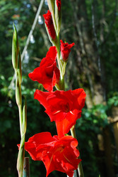 Similar image 21556673