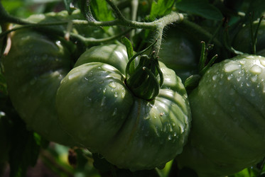 Similar image 21556675