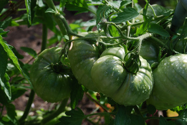 Similar image 21556676