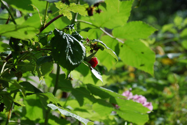 Similar image 21556682