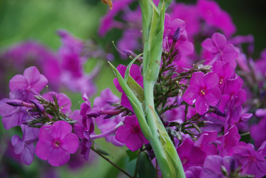 Similar image 21556683