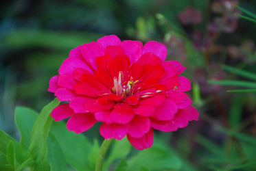 Similar image 21556685