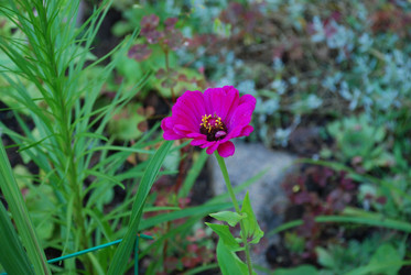 Similar image 21556686