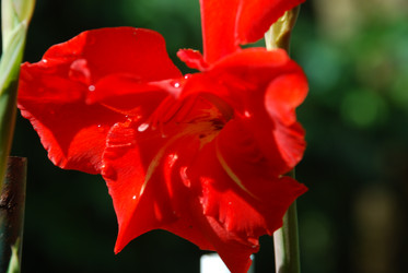 Similar image 21556687