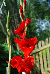 Similar image 21556688