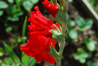 Similar image 21556689