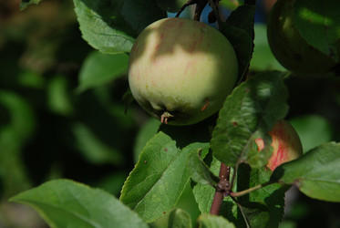 Similar image 21556690