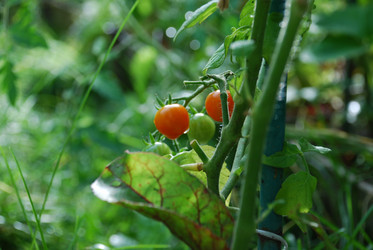 Similar image 21556691