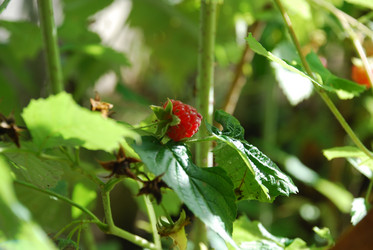 Similar image 21556694