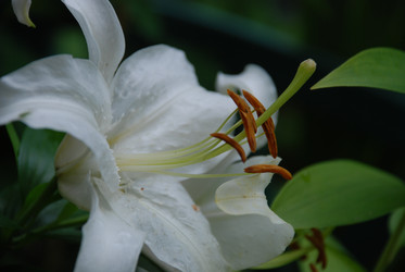 Similar image 21556696