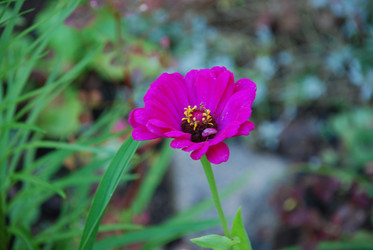 Similar image 21556698