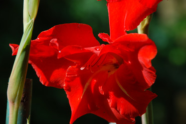 Similar image 21556699