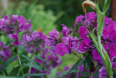 Similar image 21556701