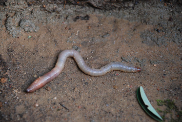 Similar image 21556703