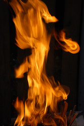 Similar image 21556704