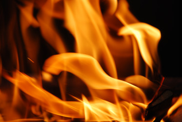 Similar image 21556705