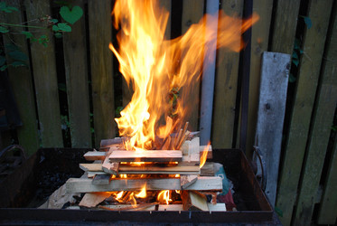 Similar image 21556708