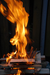 Similar image 21556710