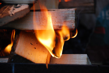 Similar image 21556711