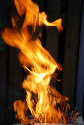 Similar image 21556714