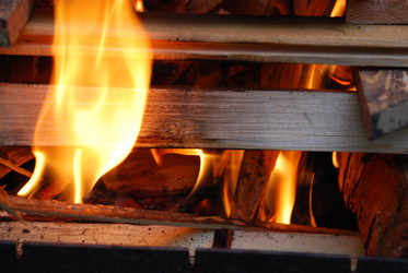 Similar image 21556716