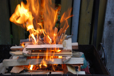 Similar image 21556717