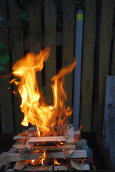 Similar image 21556718