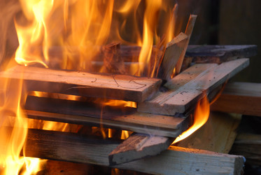 Similar image 21556720