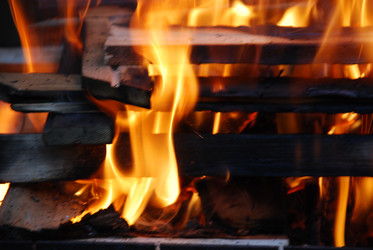 Similar image 21556721