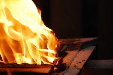 Similar image 21556722